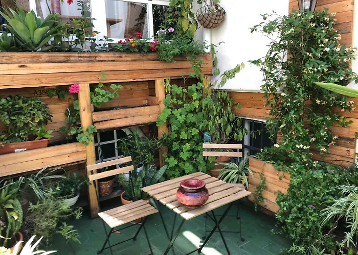 Hotel Alquimia Cadiz Hotel Cádiz