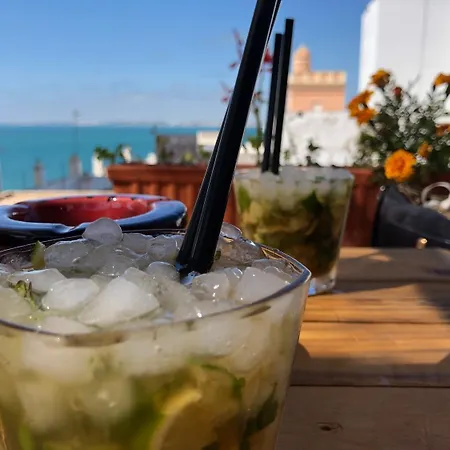 Alquimia 3* 카디스